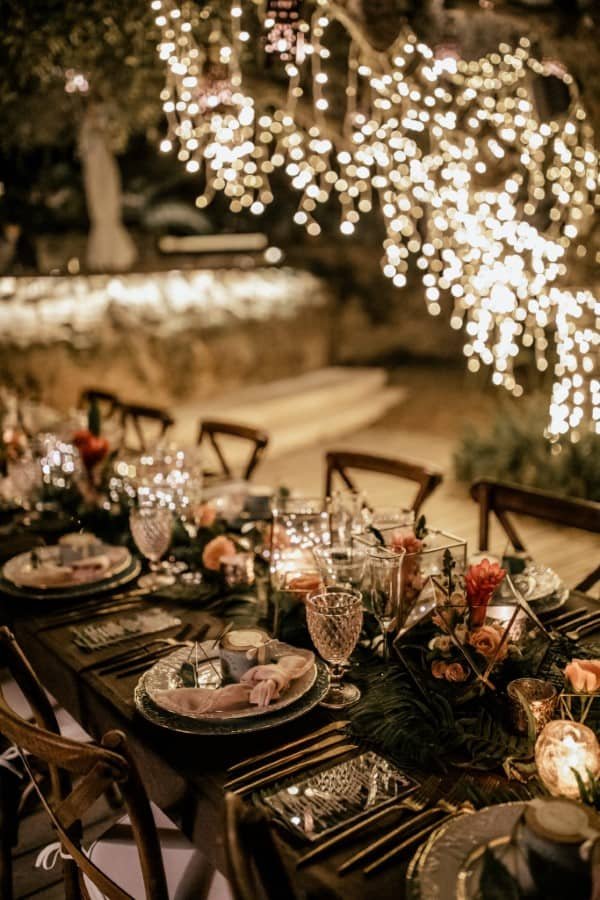 Fairy Light Olive Tree - Jasmin & Oliver - 24/9/2019 1 Fairy Light Olive Tree - Jasmin & Oliver - 24/9/2019 1