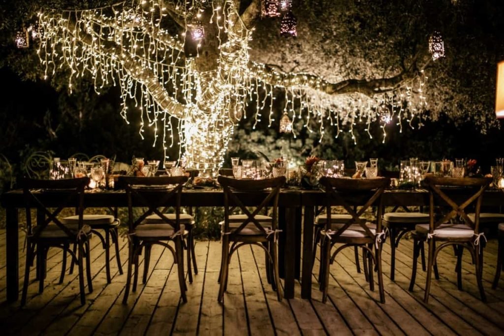 Fairy Light Olive Tree - Jasmin & Oliver - 24/9/2019 3 Fairy Light Olive Tree - Jasmin & Oliver - 24/9/2019 3