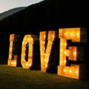 Wooden LOVE in lights